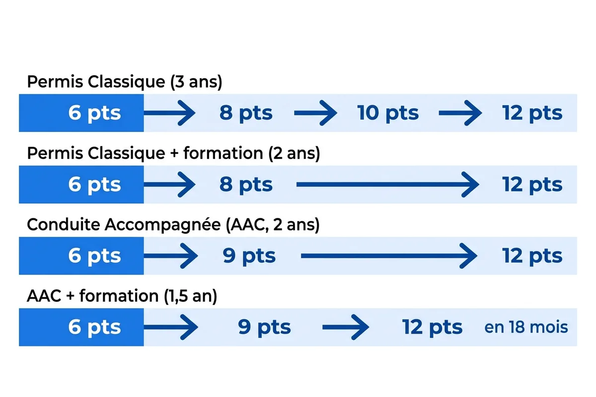 Progression des points du permis probatoire selon la filière classique ou AAC et la formation post-permis